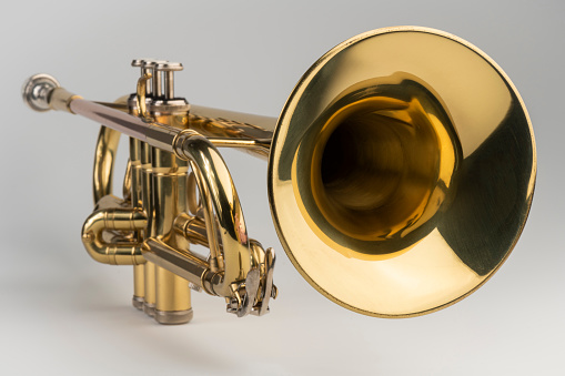 brass instrument detail：Horn finger button
