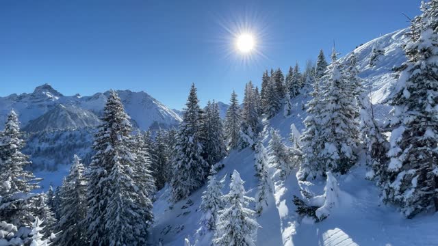 Snowcapped trees and powder snow in ski resort