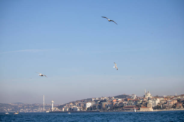 istock istanbul city skyline 1300463059