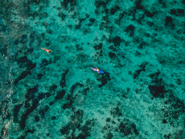 istock Aerial view with surfer paddle on surfboard in ocean. Top view 1300464116