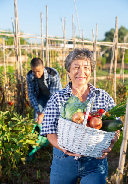 istock Mature female gardener posing with harvested vegetables 1300464448