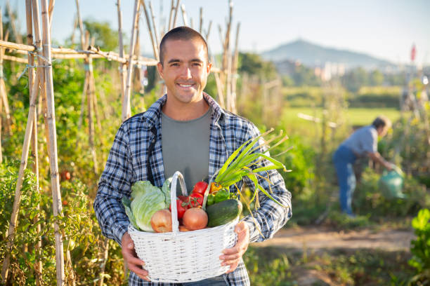 istock Happy farmer with basket of vegetables in garden 1300464458