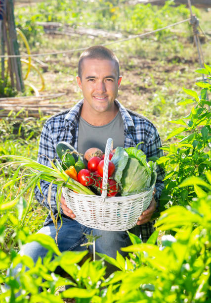 istock Man posing in garden with harvested vegetables 1300464466