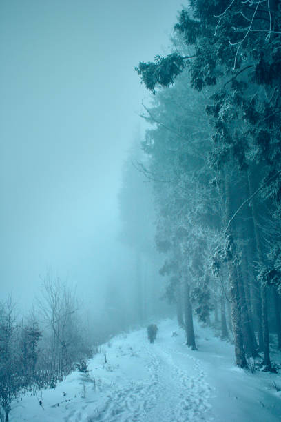 istock Mountain autumn landscape 1300466186