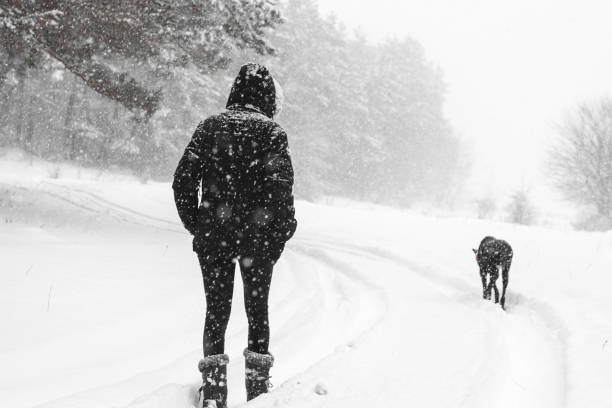 istock Girl walks with dog during heavy snow 1300467343