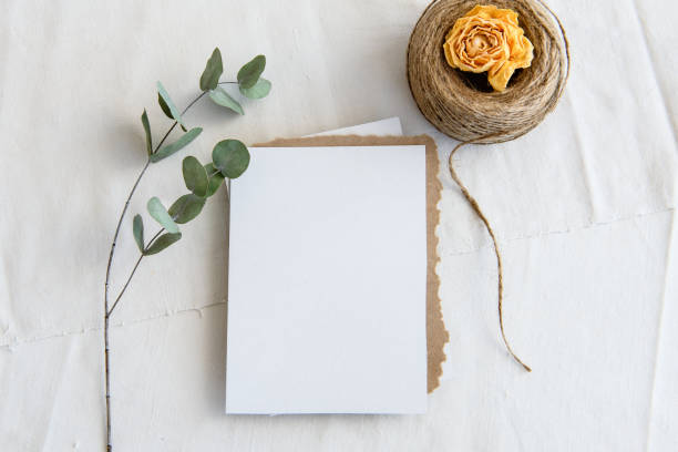 istock Vintage white background and blank postcard - white background, yellow roses, eucalyptus sprig and copy space. A romantic greeting card. 1300467452