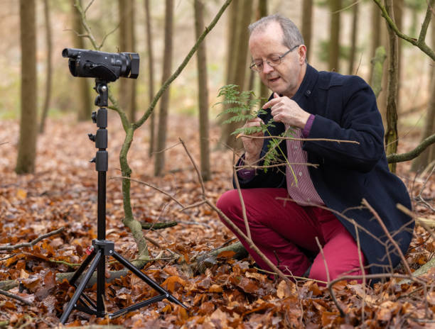 istock Middle aged man in forest vlogging about nature, ferns and environmental conservation for youtube or social media educational channels 1300469891