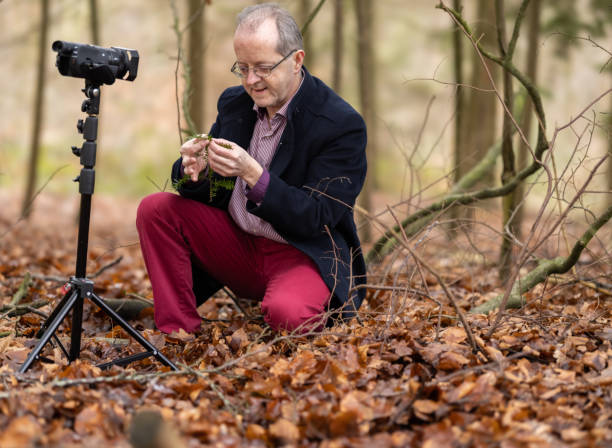 Middle aged man in forest vlogging about nature, ferns and environmental conservation for youtube or social media educational channels