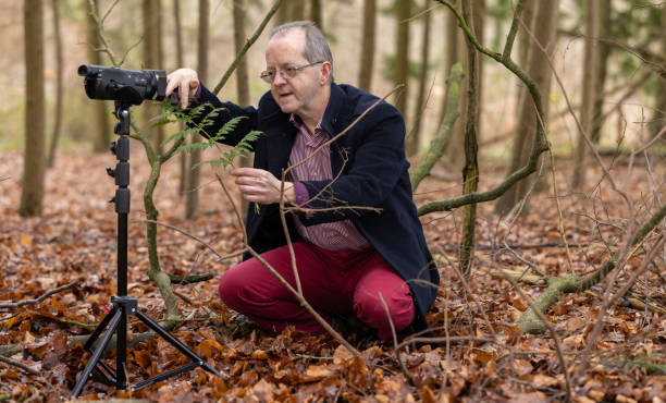 istock Middle aged man in forest vlogging about nature, ferns and environmental conservation 1300469930
