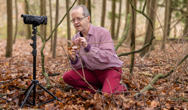istock Middle aged man in forest vlogging about nature, ferns and environmental conservation for youtube or social media educational channels 1300469974