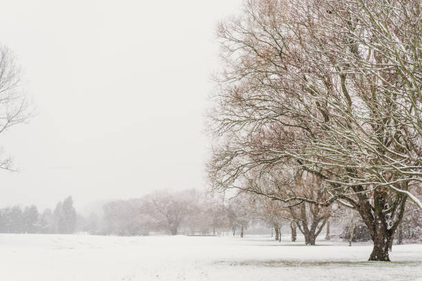 istock Snow covered winter countryside 1300471708