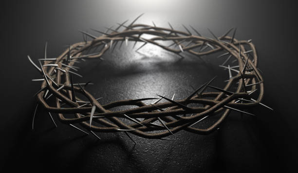istock Crown Of Thorns 1300471913