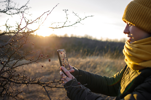 A young girl takes a photo with her mobile phone of some red berries on a dry branch on a cold but sunny winter day.