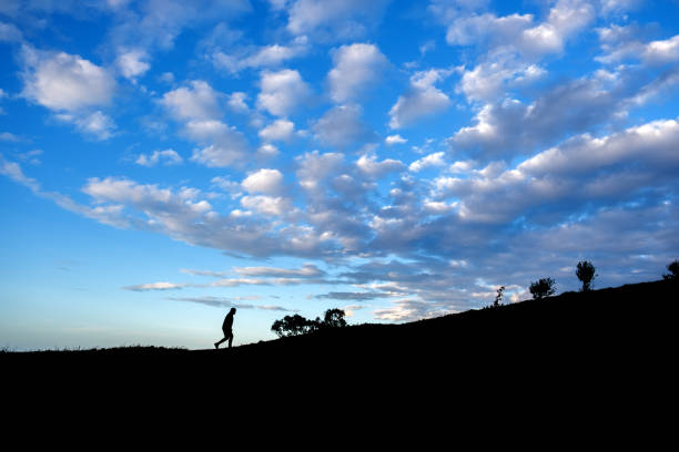 Silhouetted ridge with proteas against deep blue sky and clouds in the Cederberg South Africa