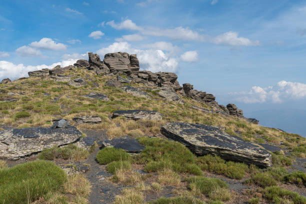 istock rocks on top of a Sierra Nevada mountain 1300475299