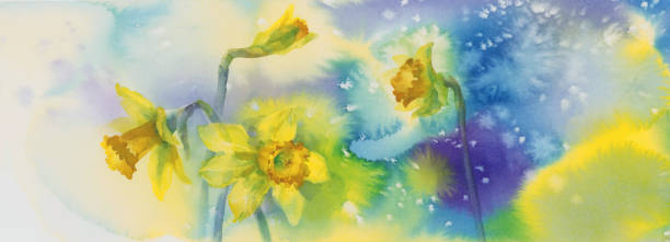 gelber narziss in blau und violett aquarell hintergrund - daffodil spring backgrounds sky stock-grafiken, -clipart, -cartoons und -symbole