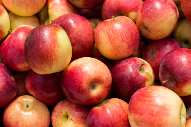 istock Full screen Close-up ripe red apples 1300478777