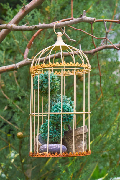 istock Cage with garden decoration 1300478816