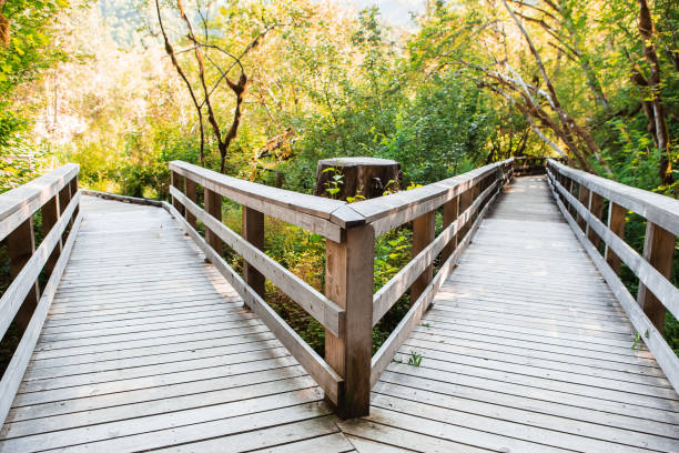 Boardwalk trail crossroads splitting in two ways through Wildwood Recreation area, Oregon, USA. Concept of direction choice
