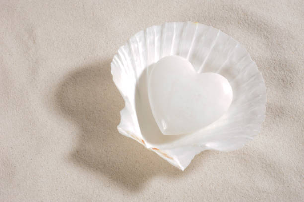 istock white heart laying in white sand 1300484562