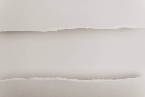 istock Ripped paper edge with copy space, beige background. 1300484719