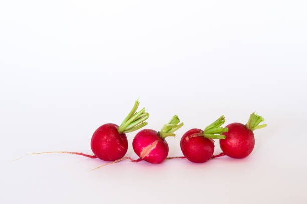 istock Four Fresh Red Radish On White Background 1300486337