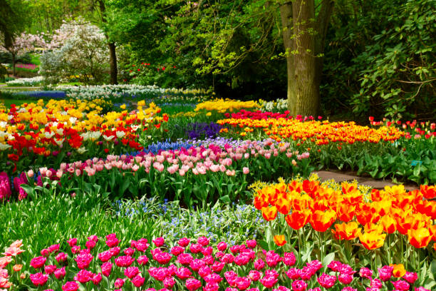 istock fresh lawn with flowers 1300491395