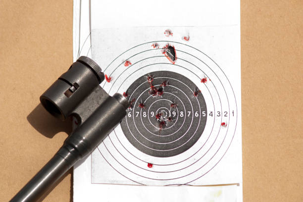 istock Target for shooting and air rifle barrel 1300491450