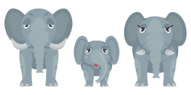 Vector illustration of Elephant family front view.