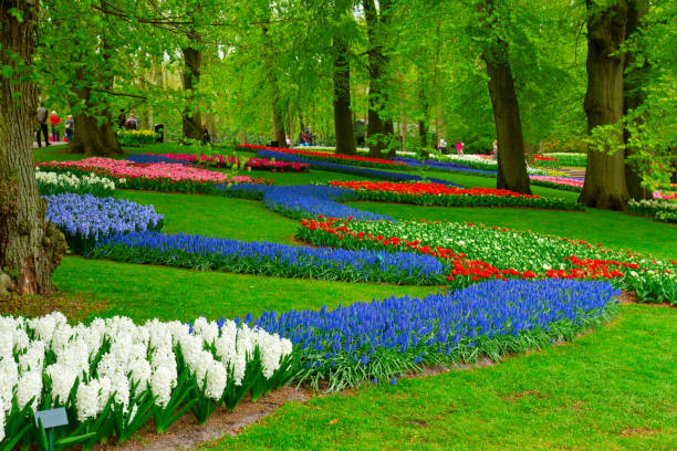 istock fresh lawn with flowers 1300491783