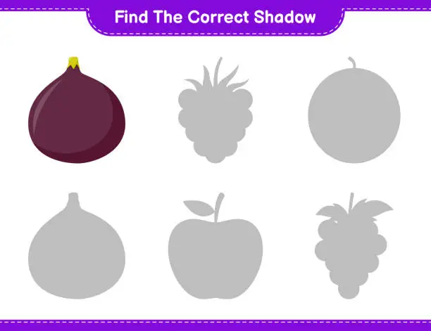 Vector illustration of Find the correct shadow. Find and match the correct shadow of Fig. Educational children game, printable worksheet, vector illustration