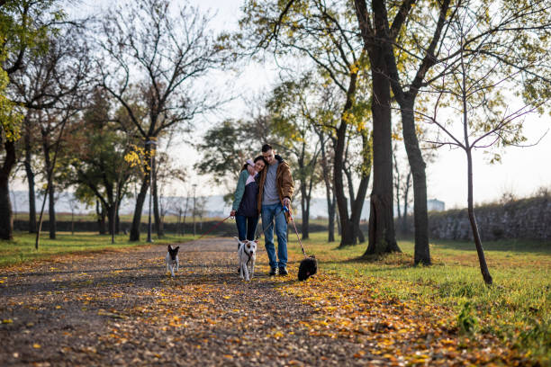istock Couple enjoys in walk with dogs 1300493536