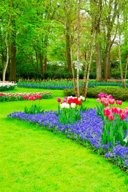 istock fresh lawn with flowers 1300494741