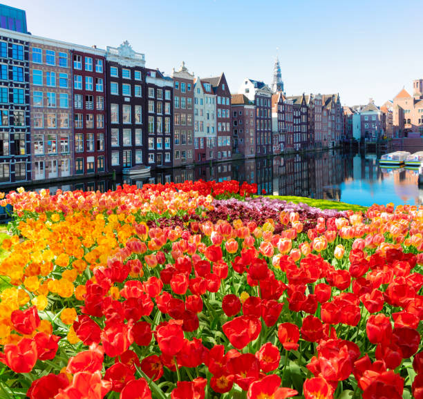 istock Houses of Amsterdam, Netherlands 1300497210
