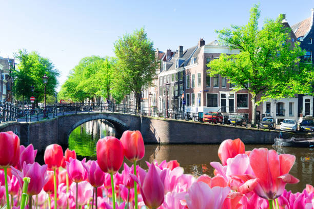 istock Houses of Amstardam, Netherlands 1300497318
