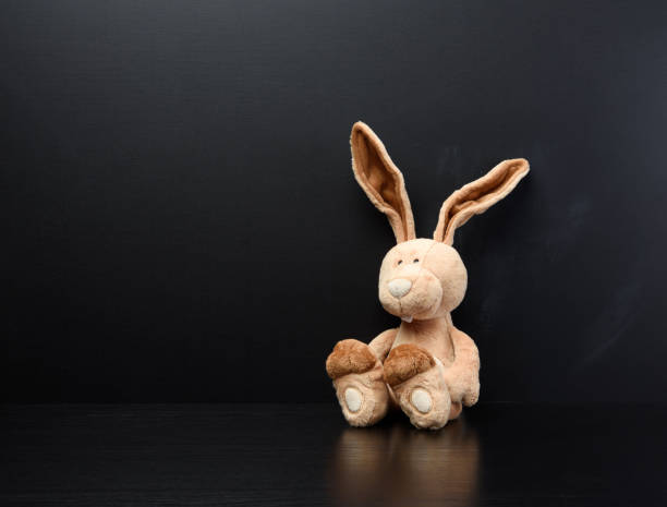 toy bunny on a black chalk school blackboard, place to write