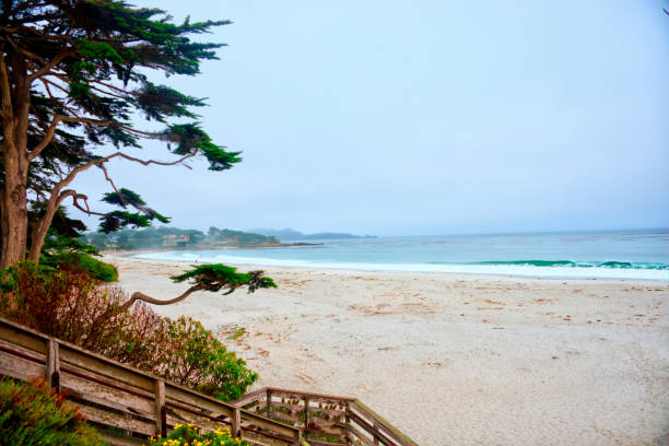 istock Beach Scene in Morning-Carmel,  California 1300502539