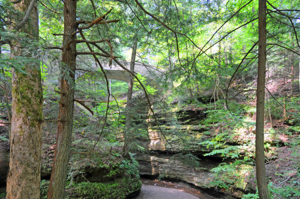 istock Limestone Canyon with bridge-Turkey Run, Indiana 1300502913