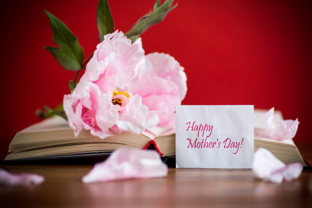 Book with opened pages in shape of heart and stacked books on reading desk in a garden. National library, books lovers day or month. Back to school or education learning background. Copy space