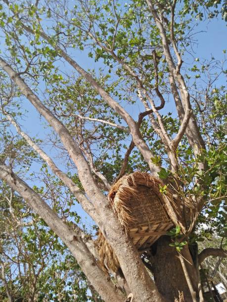 istock Little Tree House In Indonesian Beach 1300503302