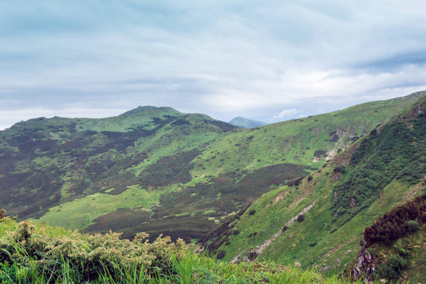 istock landscape of a Carpathians mountains 1300503991