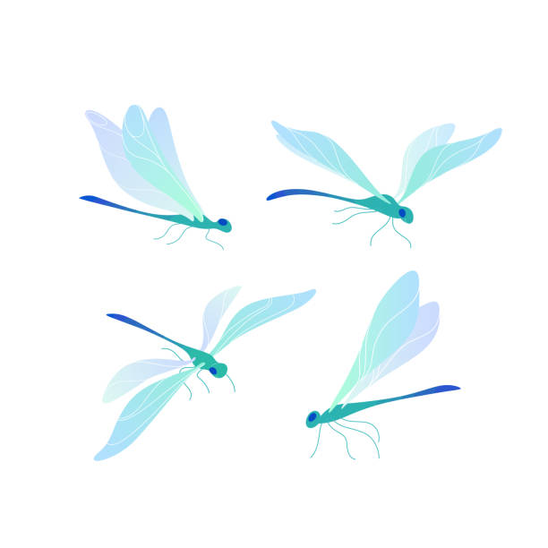 стрекоза - dragonfly stock illustrations