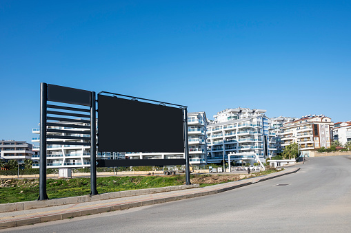 Empty billboardsin the green  spring forest