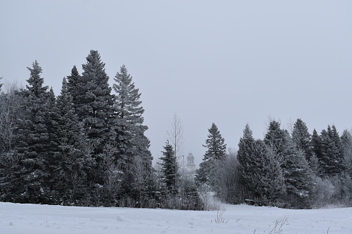 A grey january day, Sainte-Apolline, Quebec