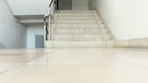 Concrete stair with exposed aggregate finish. View of reptiles. stock photo