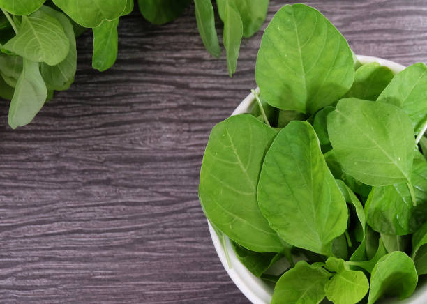 istock Closer look of fresh and raw spinach. 1300514343