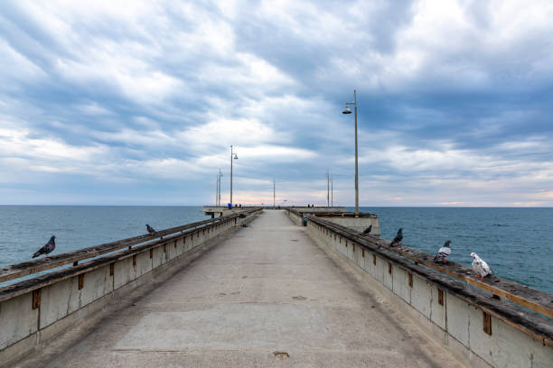 istock scenic venice pier in sunset 1300516597