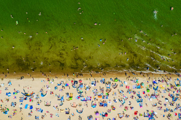 istock Crowded beach during summertime top down aerial view 1300518987