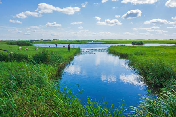 Scenery with meadows in the Netherlands