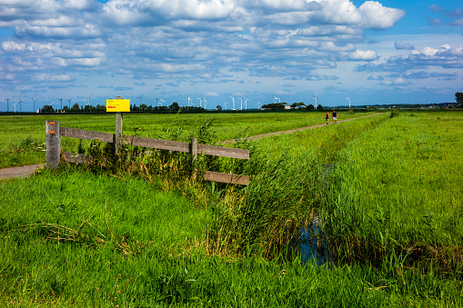 Scenery with meadows in the Netherlands